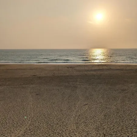 Tatil Evi Maison Mimizan Ocean Bias (Landes)